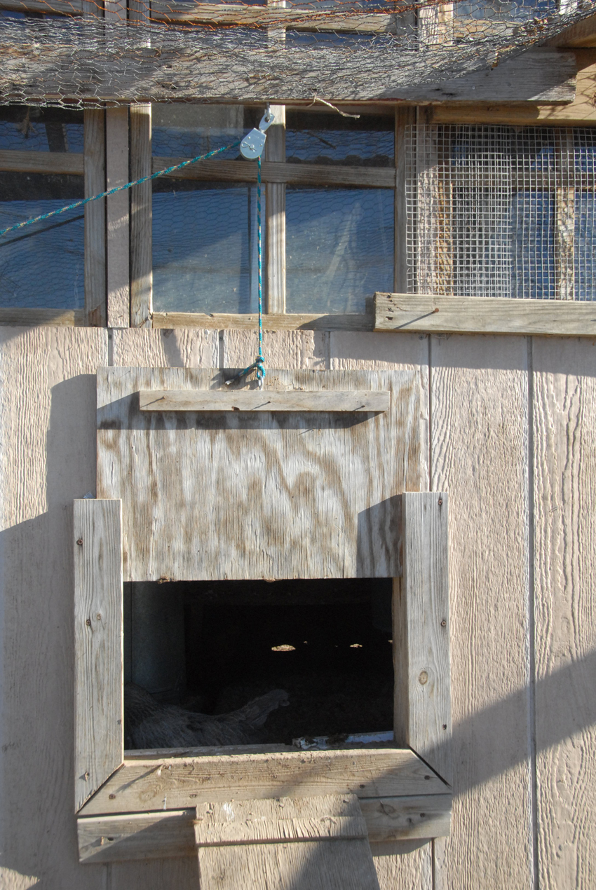 The Old CoopDoor